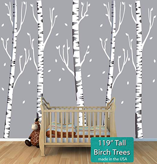 Giant Gray Birch Tree Decal with 5 Trees 119