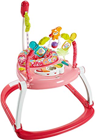 Fisher-Price Floral Confetti SpaceSaver Jumperoo