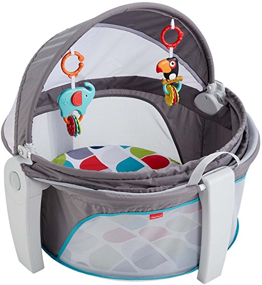 Fisher-Price On-the-Go Baby Dome, Grey/Multi-Color [Amazon Exclusive]