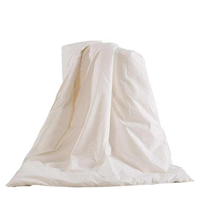 THXSILK 100% Mulberry Silk Duvet Comforter in White Cotton Shell for Baby Crib Toddler Bed for Spring and Fall, White