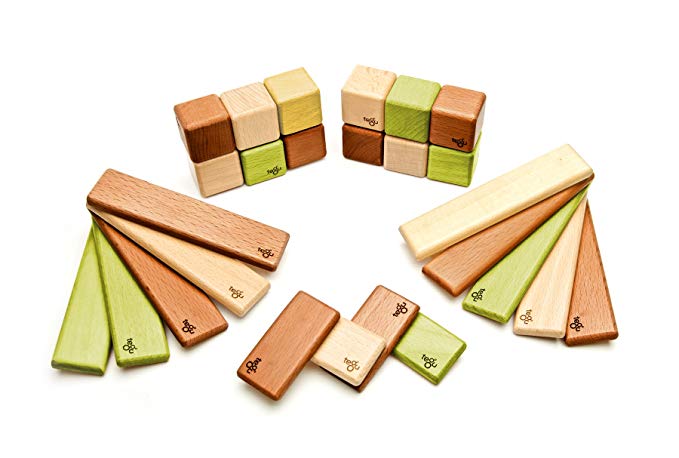 Tegu 26 Piece Discovery Magnetic Wooden Block Set, Jungle