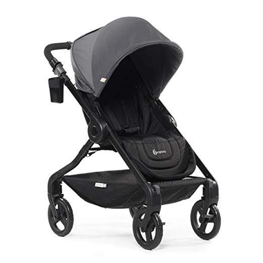 Ergobaby 180 Reversible Stroller with One-Hand Fold, Graphite