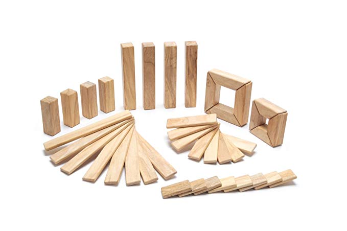 Tegu 40 Piece Explorer Magnetic Wooden Block Set, Natural