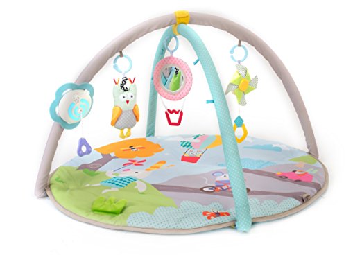 Taf Toys Baby Play Gym | Thickly Padded Soft Play Mat, Portable, Lightweight, Car Seat/Cot Attachable Multi-Sensory Hanging Toys With Colorful Lights And Sounds, Detachable Arches, Ideal Gift
