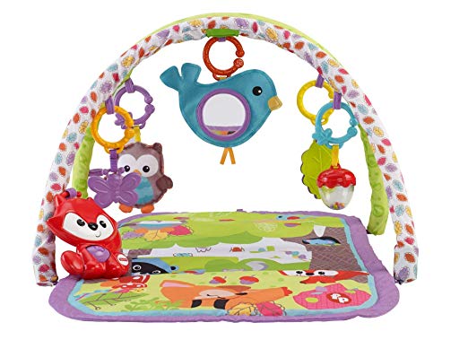 Fisher-Price 3-in-1 Musical Activity Gym, Woodland Friends
